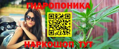 трава Комсомольск-на-Амуре