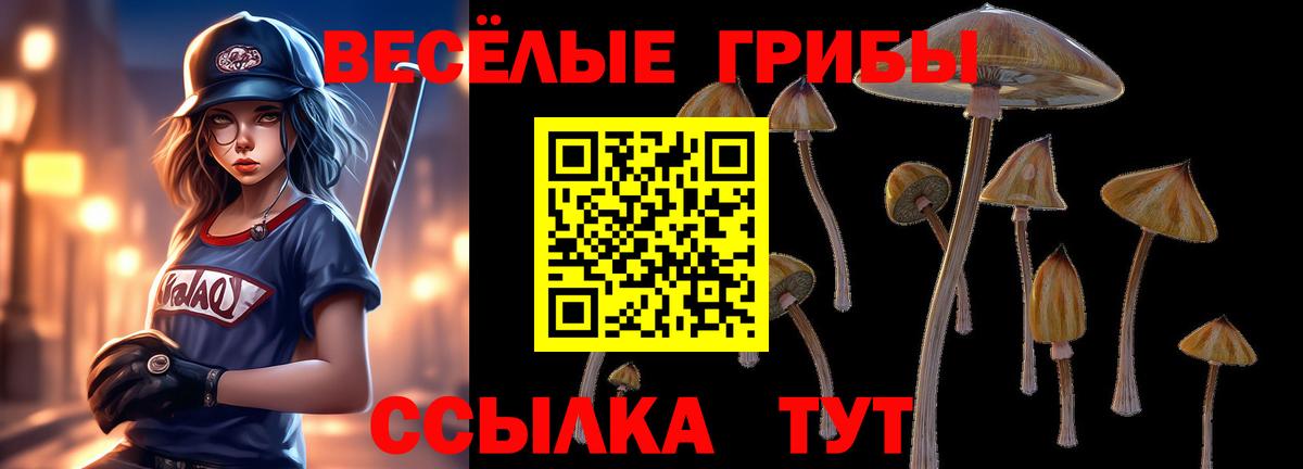 Галлюциногенные грибы Cubensis Краснодар